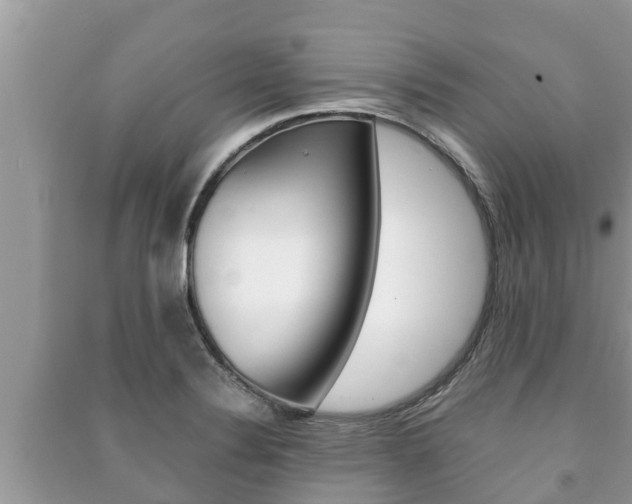 X0000091221324200708091129
