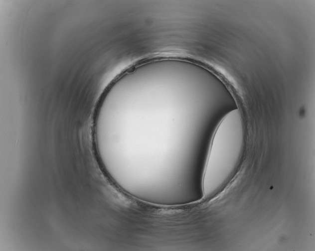 X0000091221325200708091129