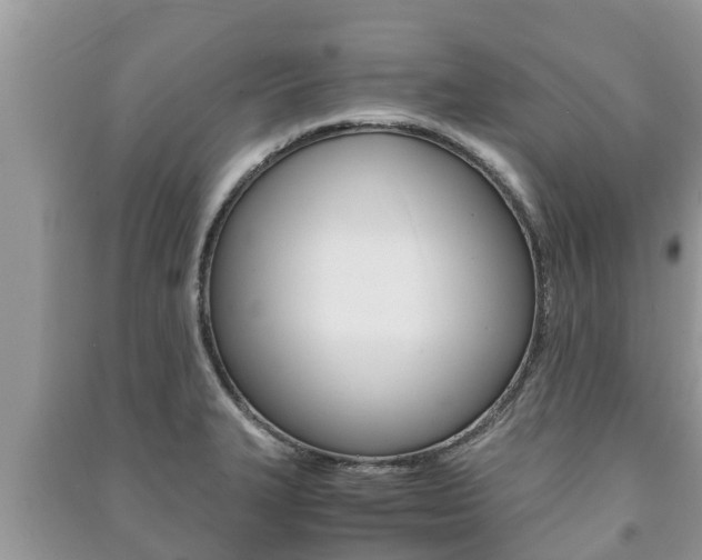 X0000091221327200708091129