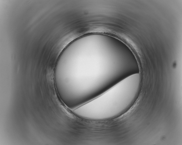 X0000091221329200708091129