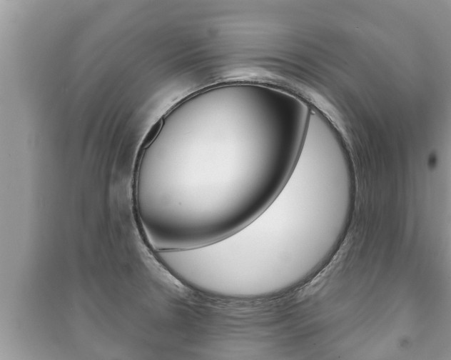 X0000091221330200708091129