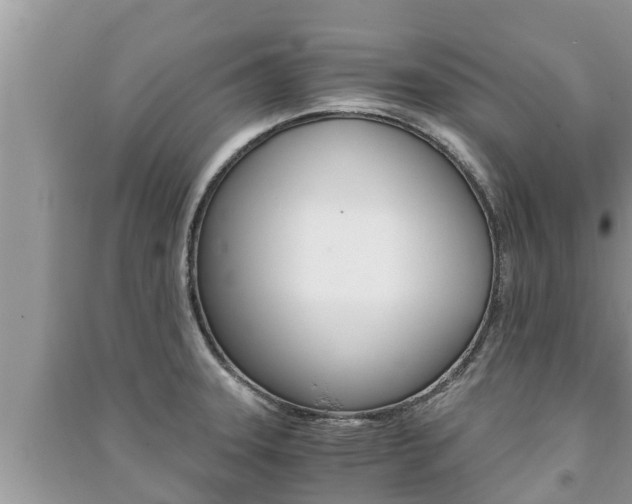 X0000091221331200708091129