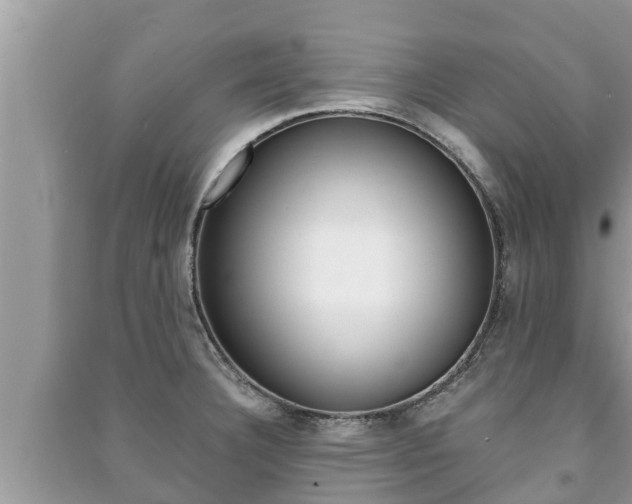 X0000091221332200708091129