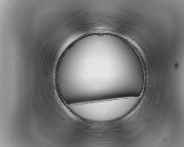 X0000091221333200708091129
