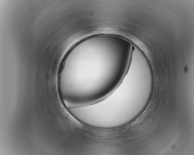 X0000091221334200708091129