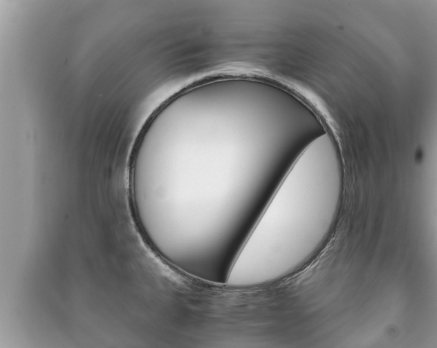 X0000091221335200708091129