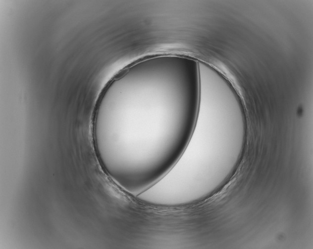 X0000091221336200708091129