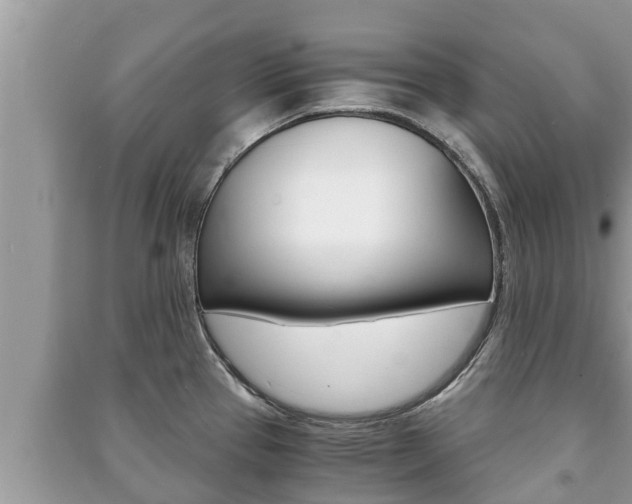 X0000091221337200708091129