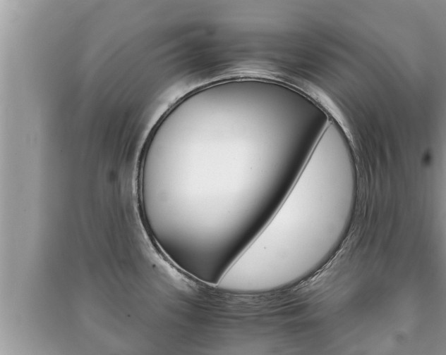 X0000091221339200708091129