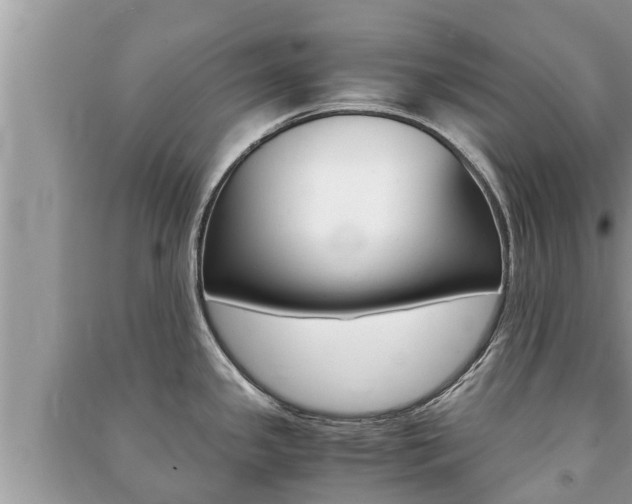 X0000091221341200708091129