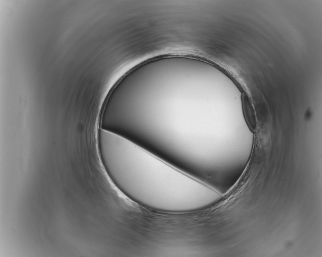 X0000091221343200708091129