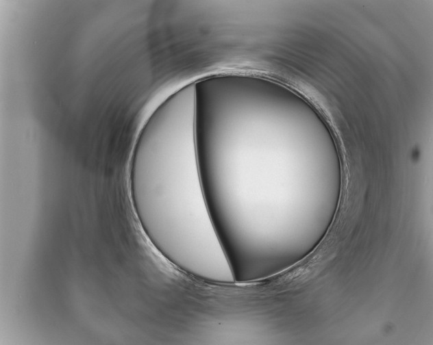 X0000091221344200708091129