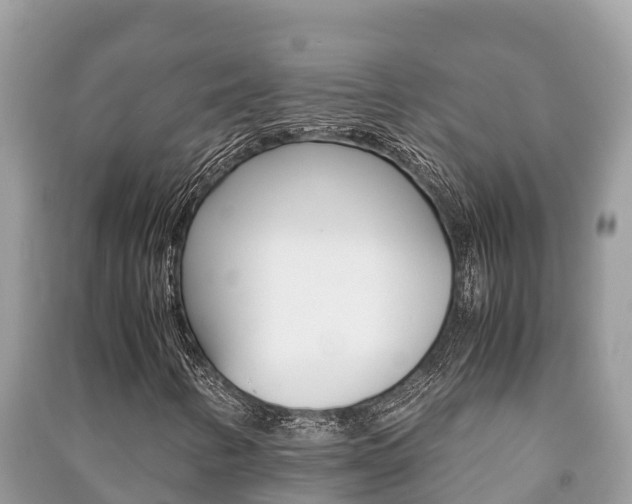 X0000091221346200708091128