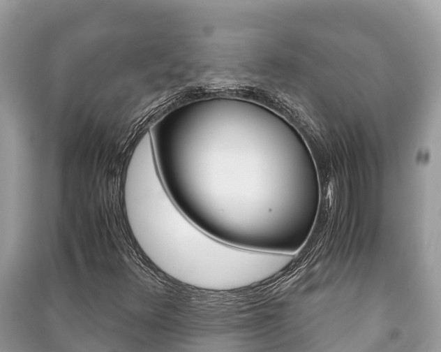 X0000091221348200708091128