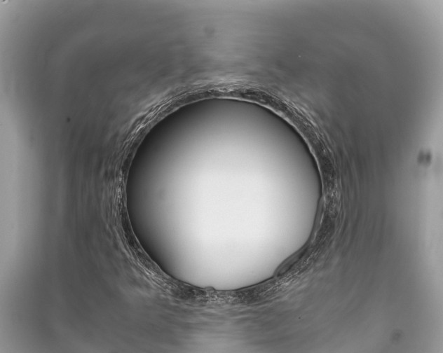 X0000091221349200708091128