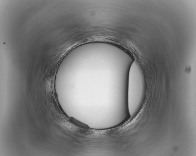 X0000091221353200708091128