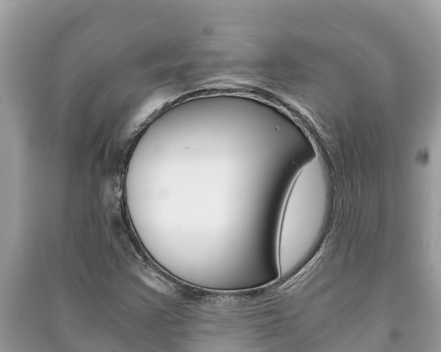 X0000091221355200708091128