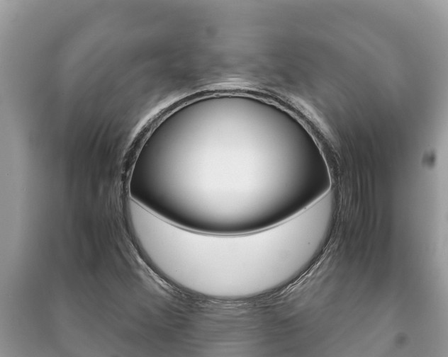 X0000091221356200708091128