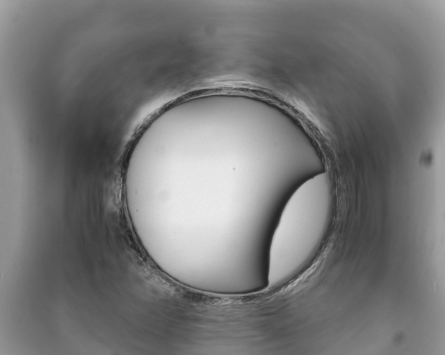 X0000091221358200708091128