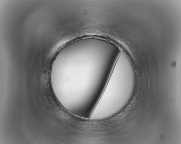 X0000091221359200708091128