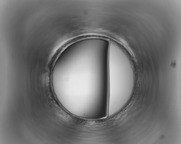 X0000091221360200708091128