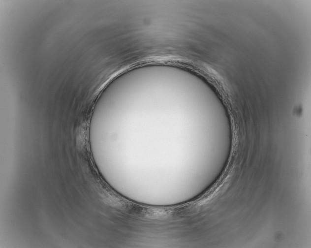 X0000091221361200708091128