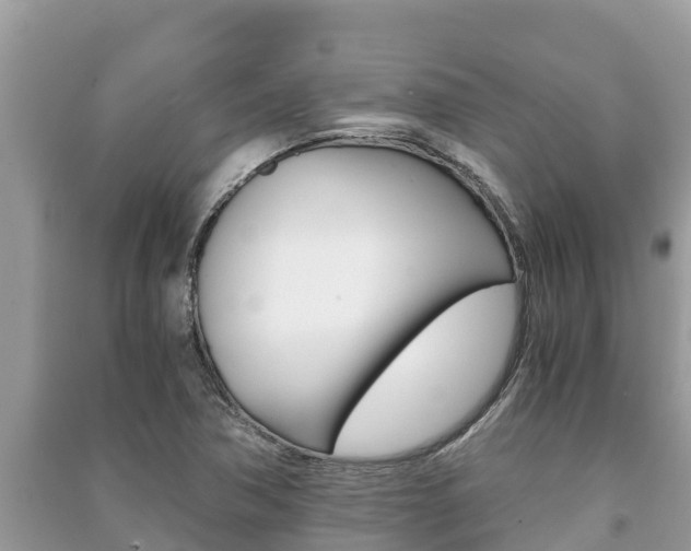 X0000091221362200708091128