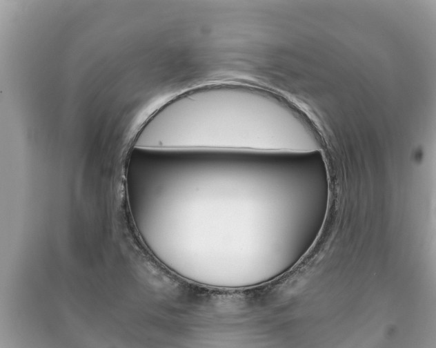 X0000091221363200708091128