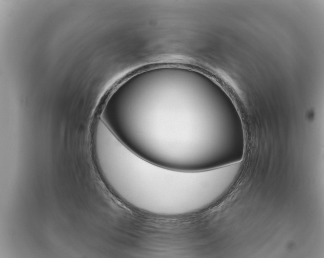 X0000091221364200708091128