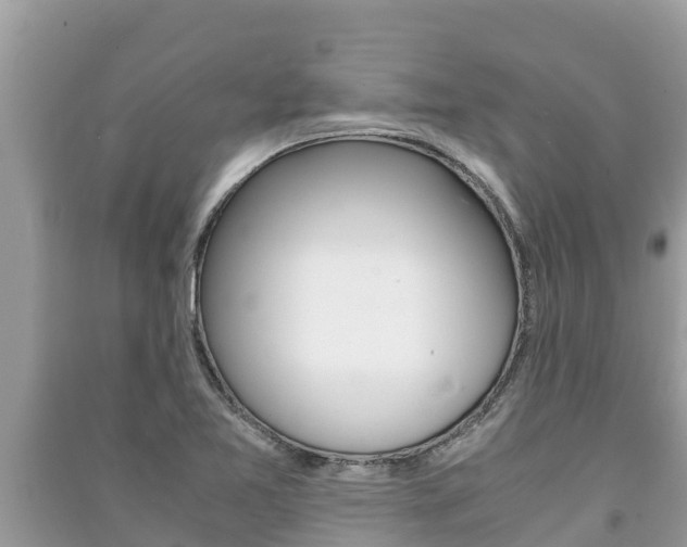X0000091221365200708091128
