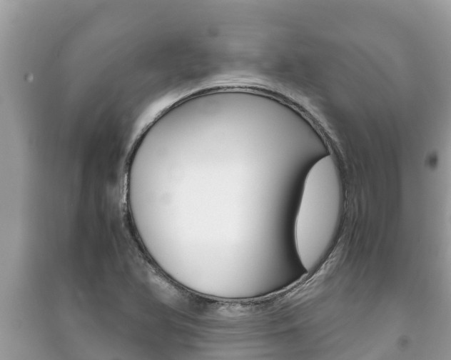 X0000091221366200708091128