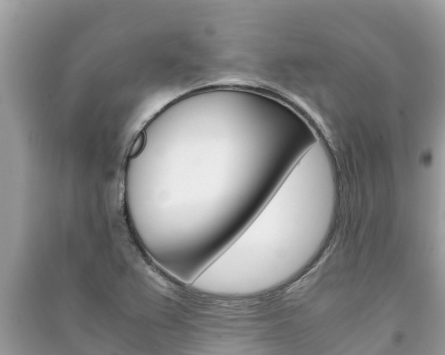X0000091221367200708091128