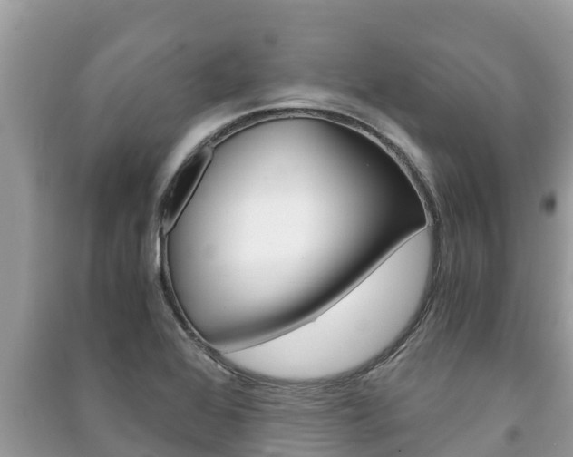 X0000091221368200708091128