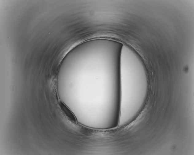 X0000091221369200708091128