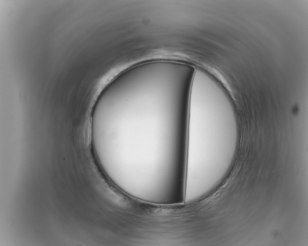 X0000091221371200708091128