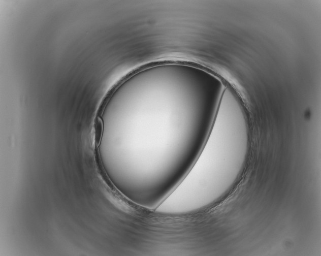 X0000091221372200708091128
