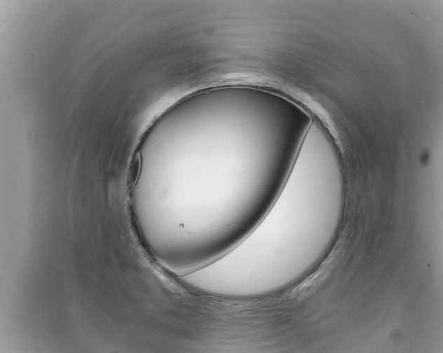 X0000091221373200708091128