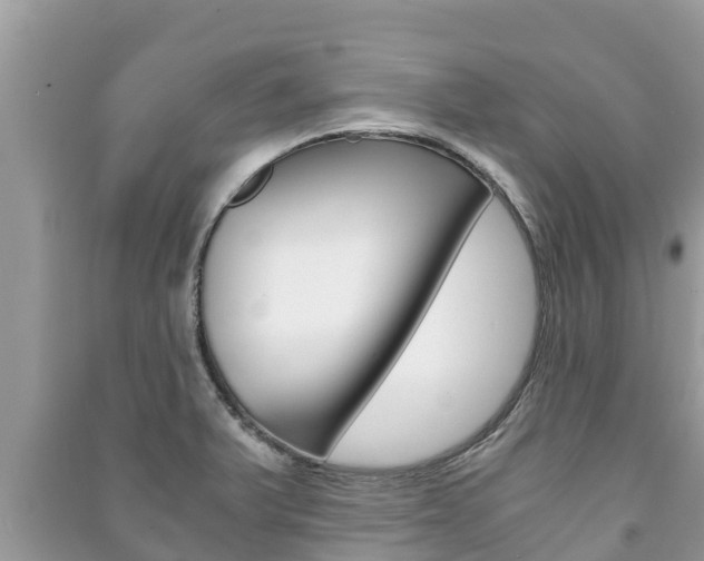 X0000091221375200708091128