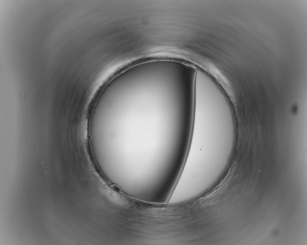 X0000091221376200708091128