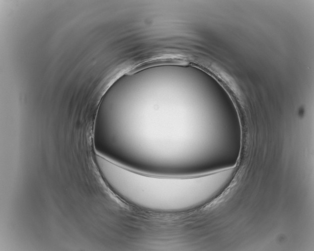 X0000091221377200708091128