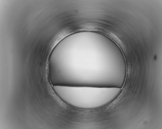 X0000091221378200708091128