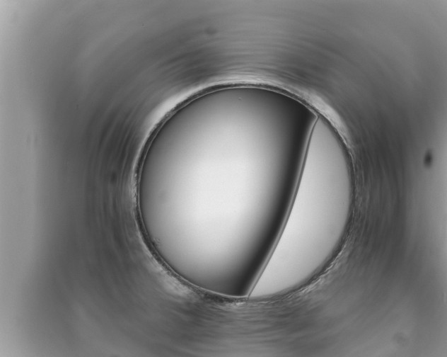 X0000091221380200708091128