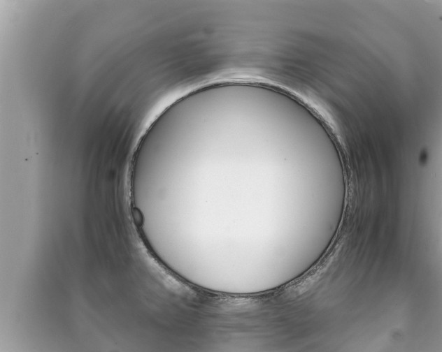 X0000091221382200708091128