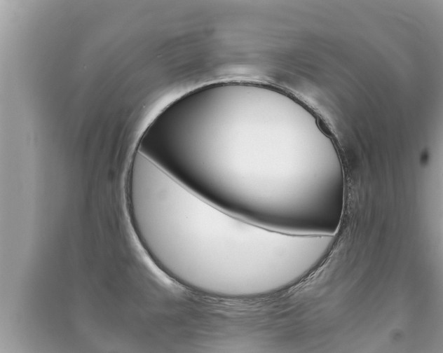 X0000091221383200708091128