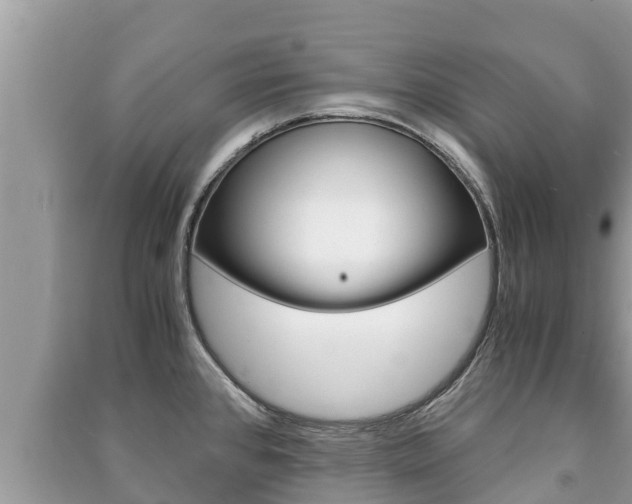 X0000091221384200708091128