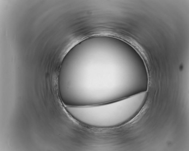 X0000091221385200708091128