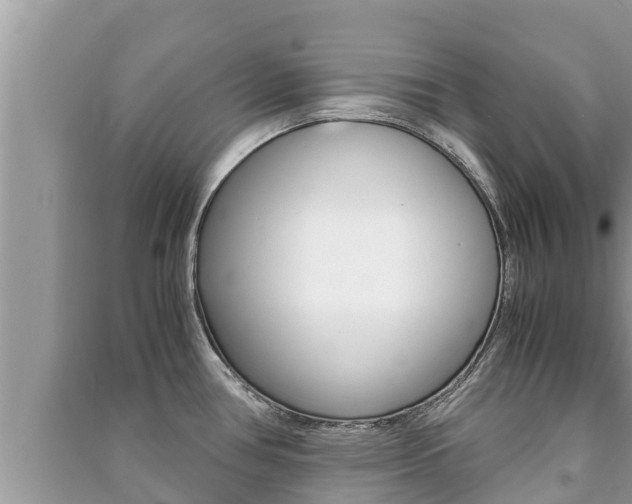 X0000091221386200708091128