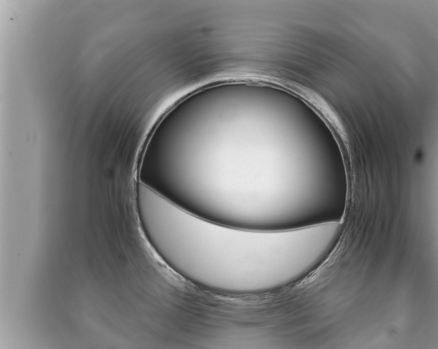 X0000091221388200708091128