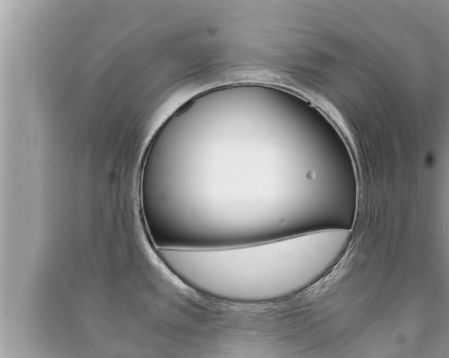 X0000091221389200708091128