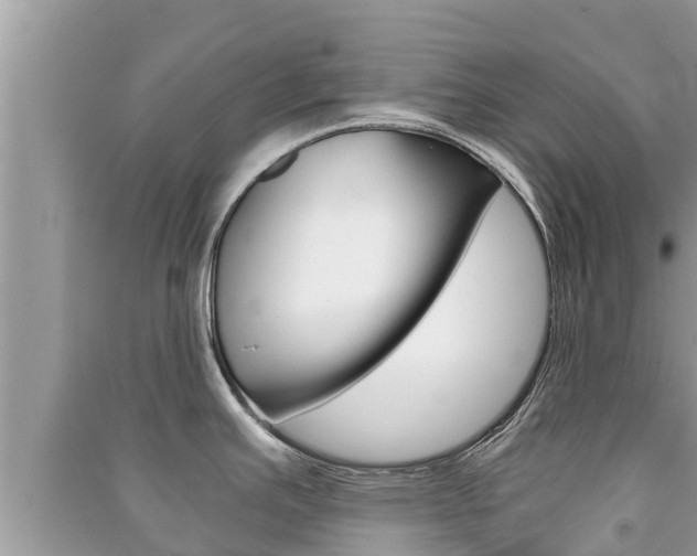 X0000091221391200708091128